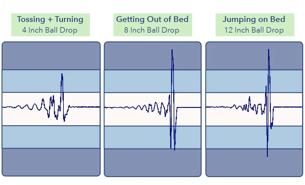 MotionTransfer LeesaHybrid