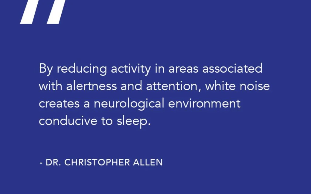 SO White Noise Quote 2