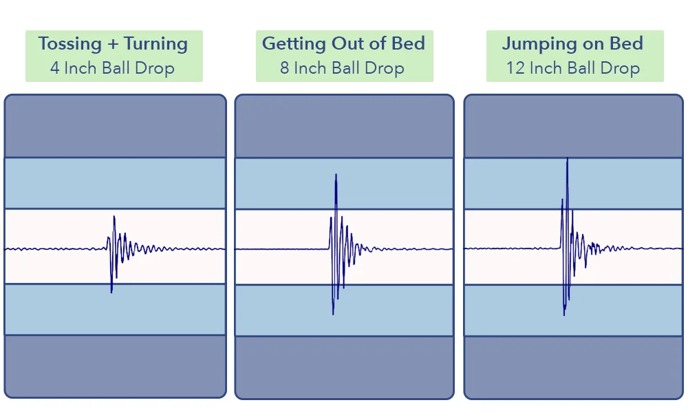 The Sweet Night Island's motion transfer results.
