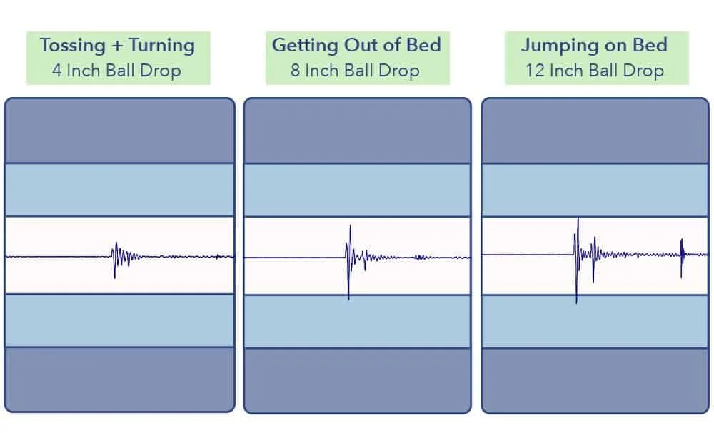 Brooklyn Bowery Hybrid Motion