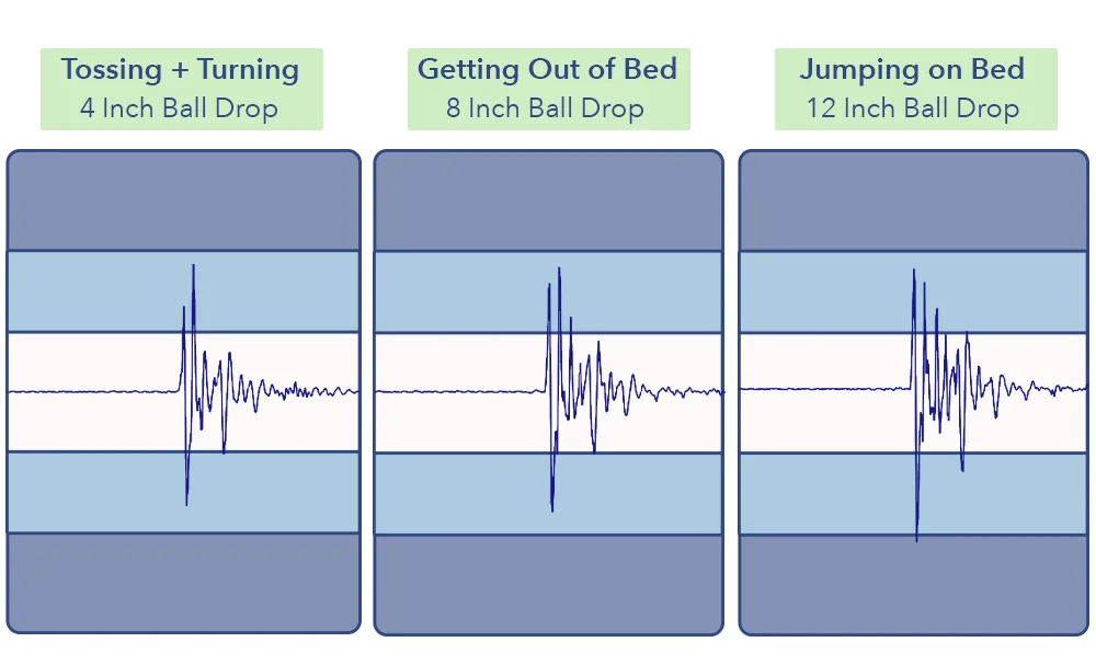 Avocado Latex motion transfer graph