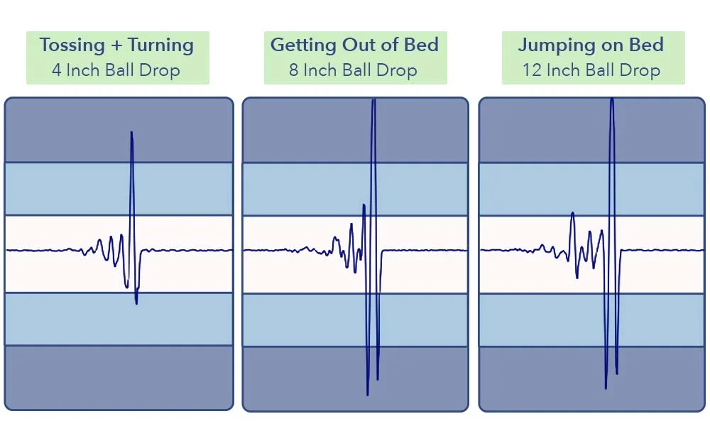 MotionTransfer Tuft NeedleHybrid