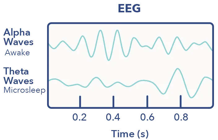 SO MicrosleepArticleGraphics EEG