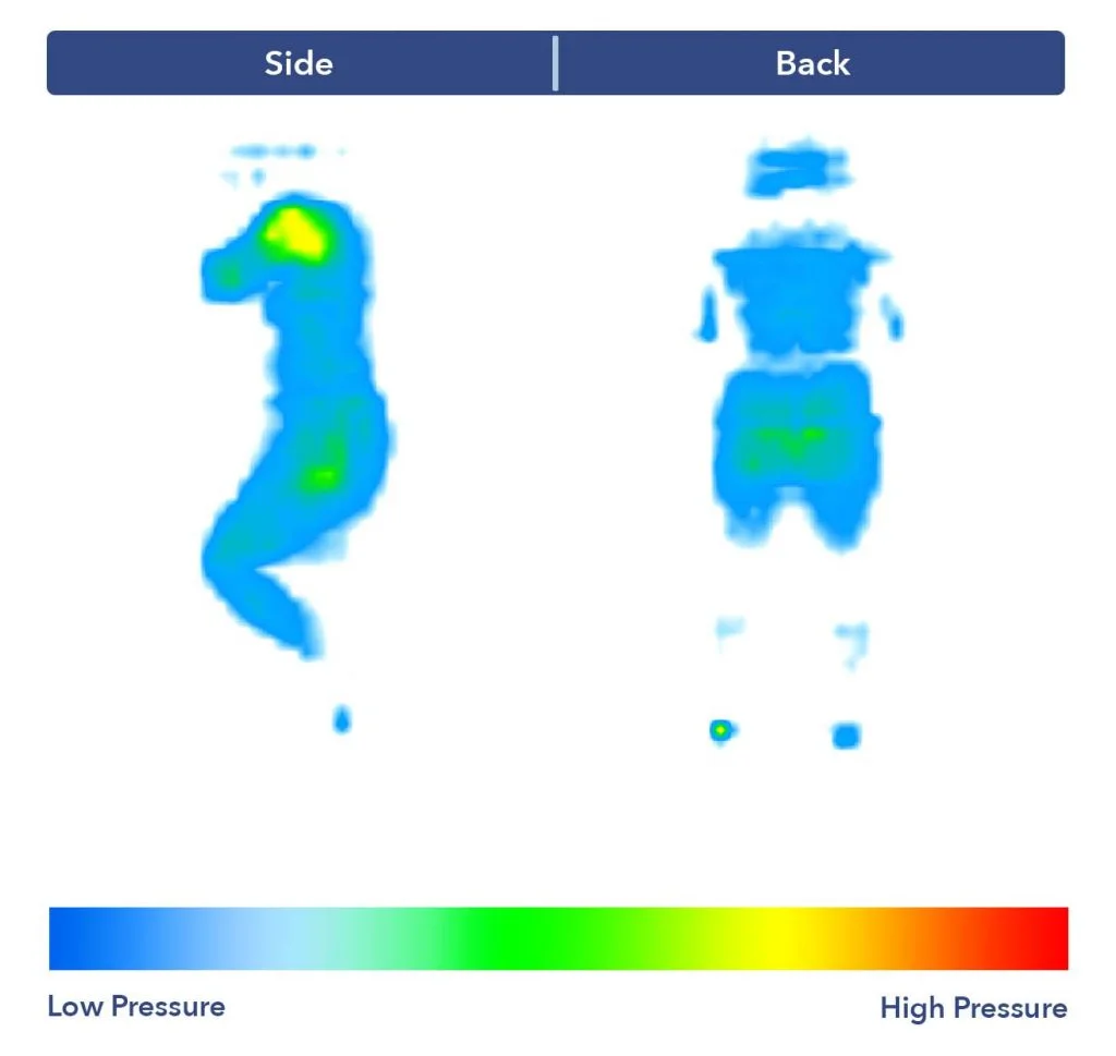 PressureMap NectarPremierHybrid