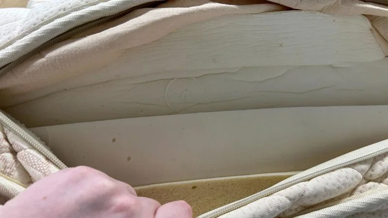 Construction of the PlushBeds Botanical Bliss Mattress