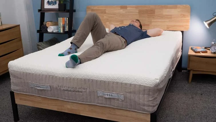 Brentwood Hybrid Latex Back Sleepers