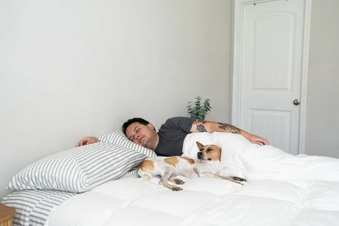 How to Wash Pillows the Right Way