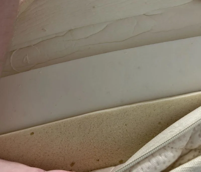 Construction of the PlushBeds Botanical Bliss Mattress