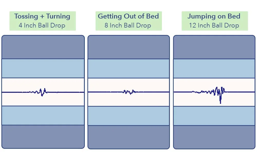MotionTransfer brooklyn propel soft