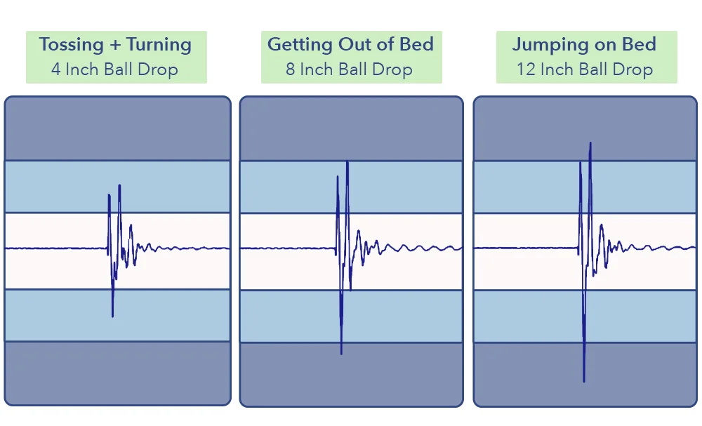 AmerisleepMotion AmerisleepMotion