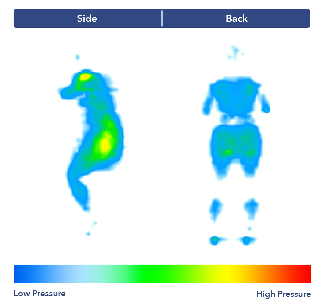 PressureMap LeesaHybrid