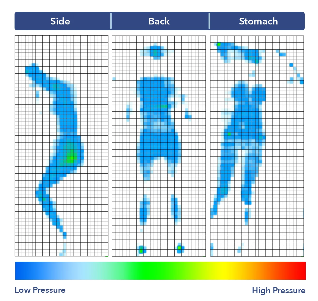 3D Matrix pressure map results