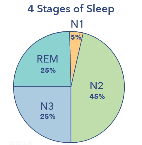 SO N3SleepGraphics SleepCycle