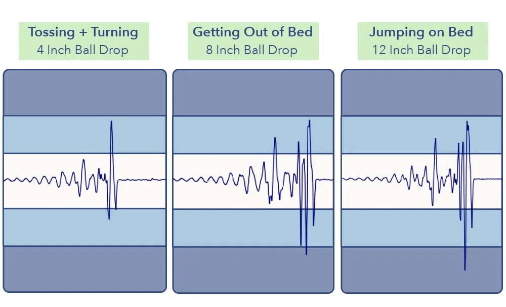 MotionTransfer BrooklynBeddingTitanPlus