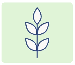 SO_StearnsFoster_LuxArticleGraphics_Soft