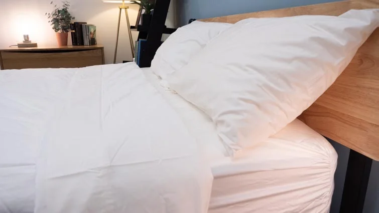 sleep number comforter