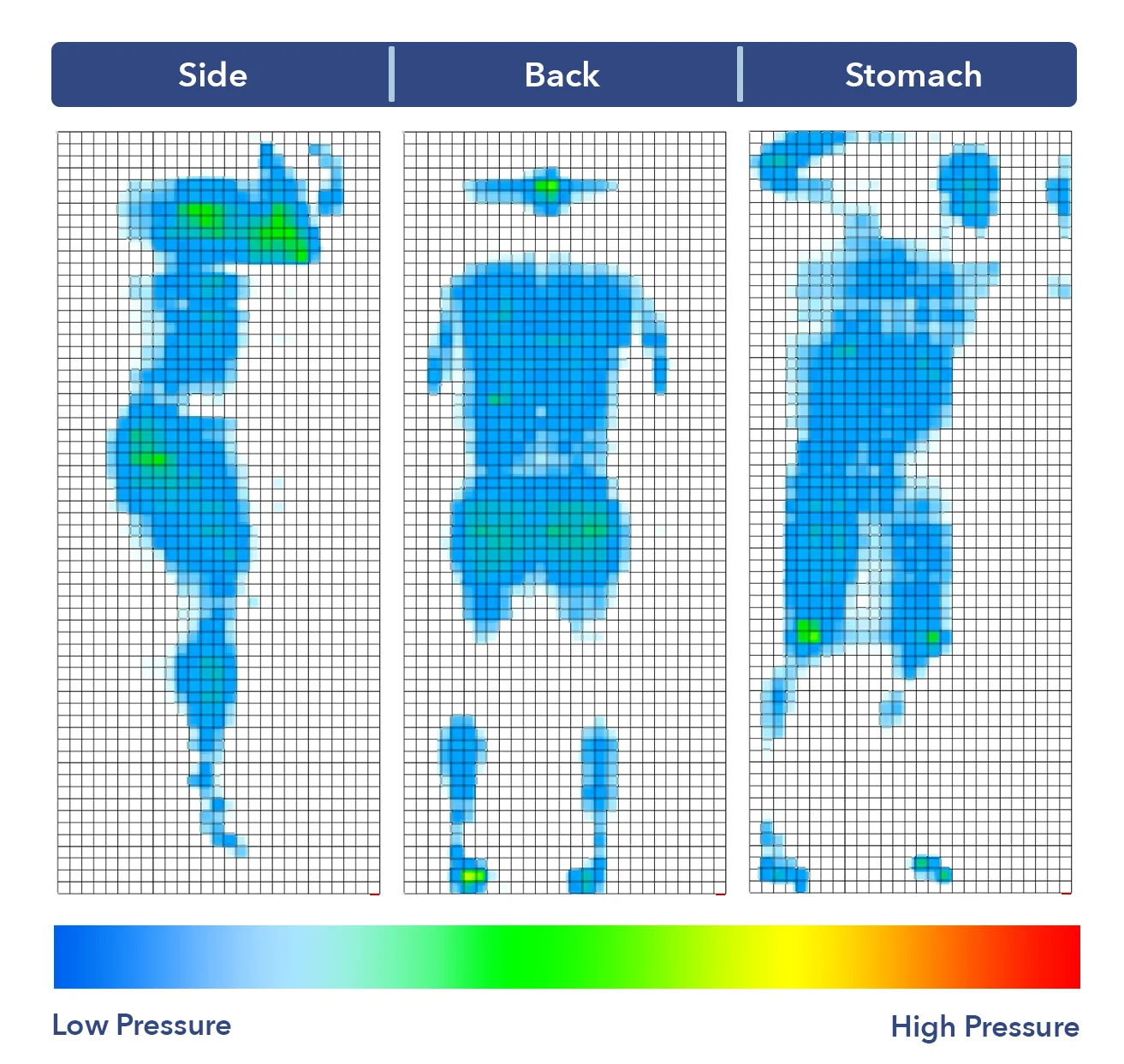 Naturepedic Pressure Map