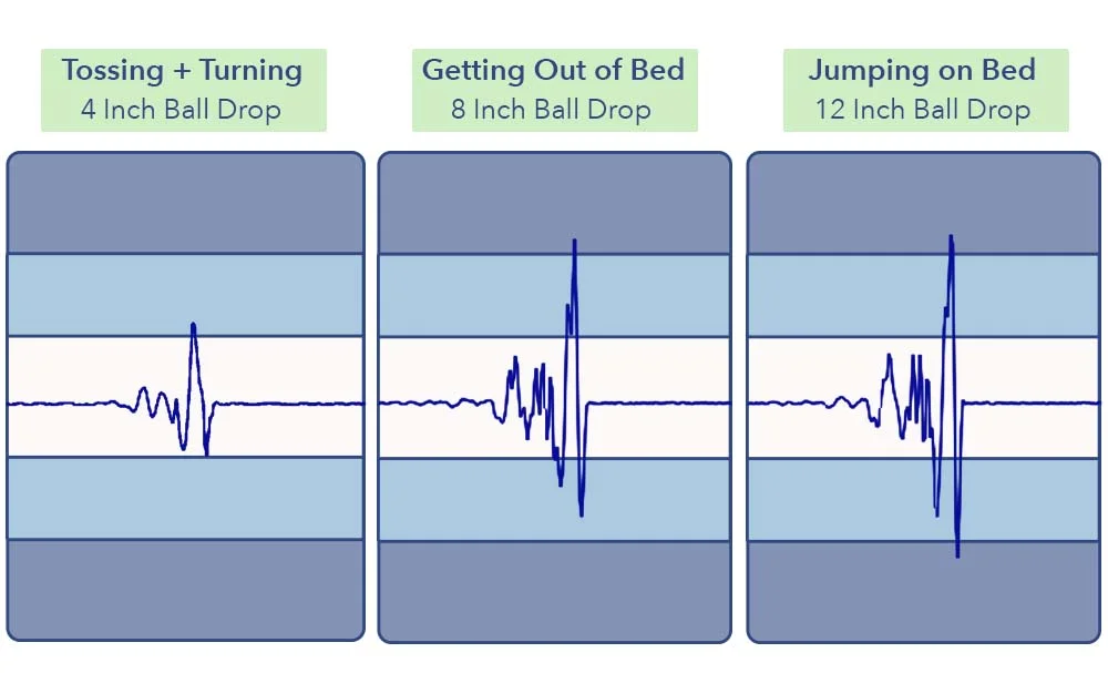 MotionTransfer SilkSnow