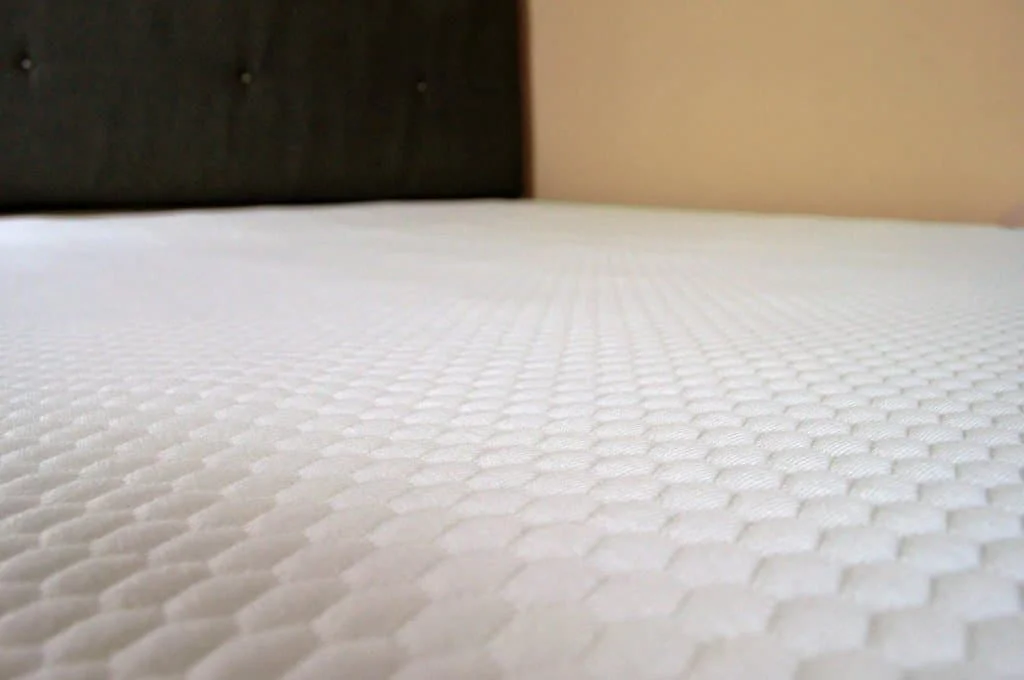 Bear mattress protector close up