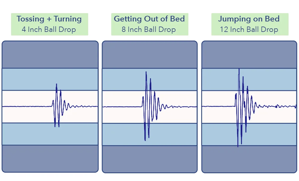 The Bliss's motion transfer results.