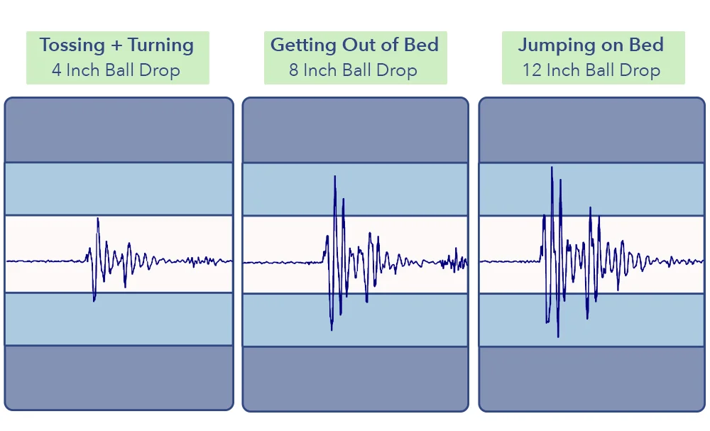 Brentwood Hybrid Latex Motion Transfer
