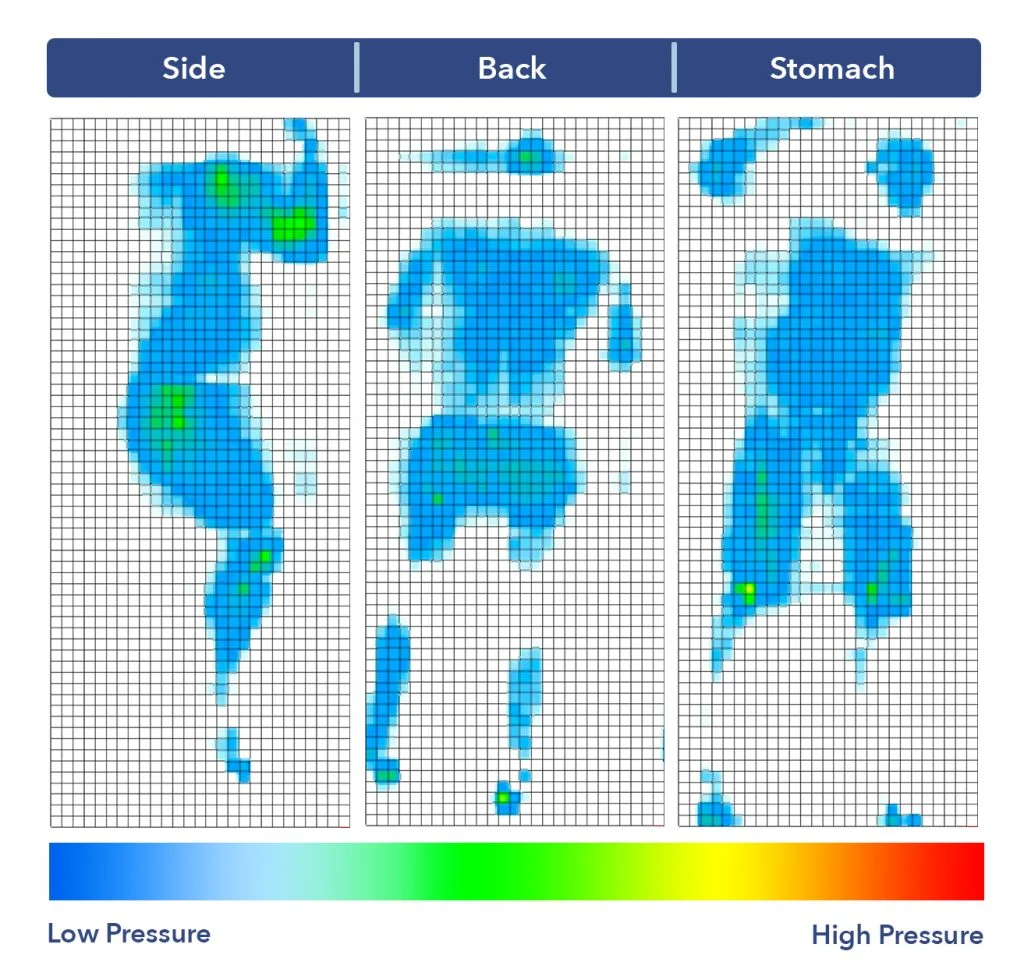 Avocado Latex pressure map