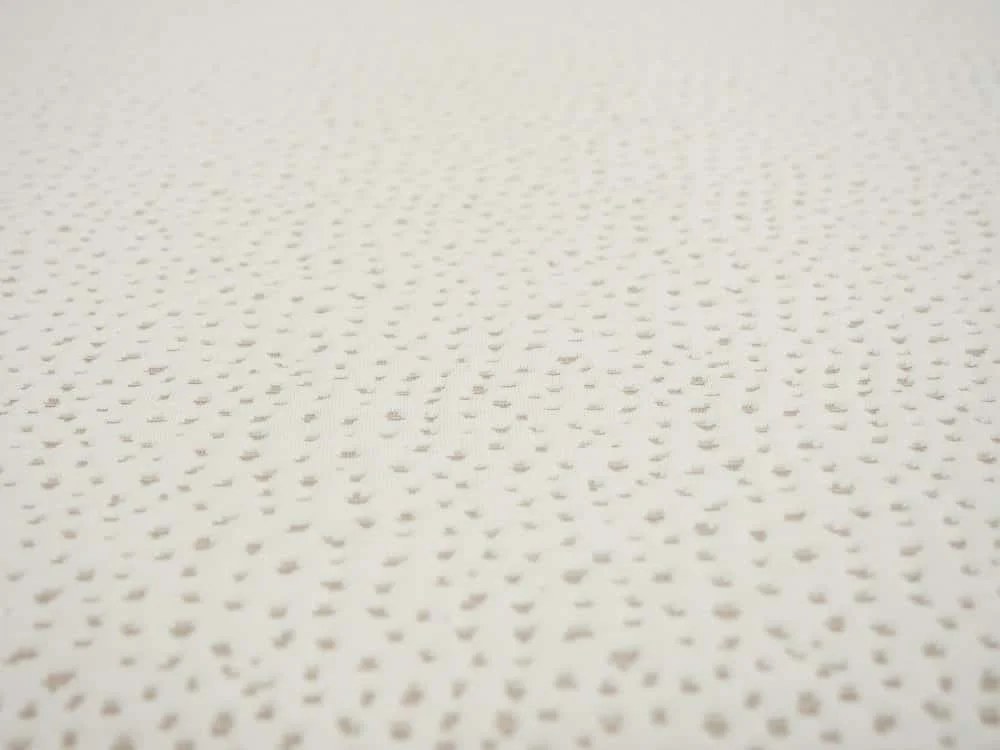 5 Little Monkeys Cover