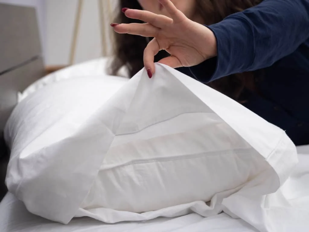 Snowe sheets pillow case