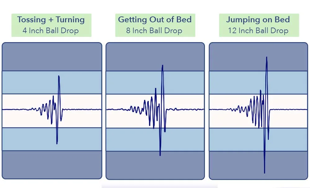 MotionTransfer Lytton