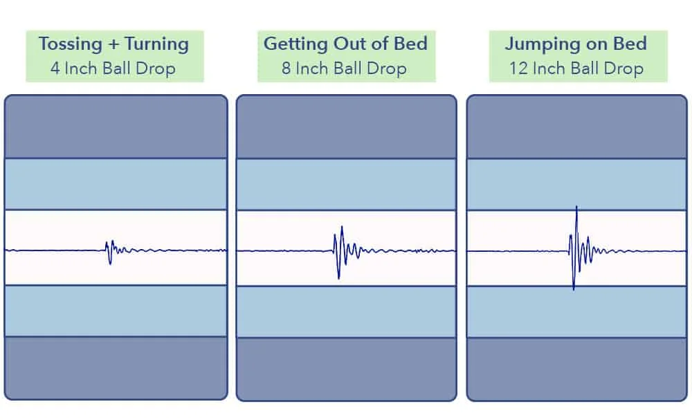 Nectar Lush Motion Transfer