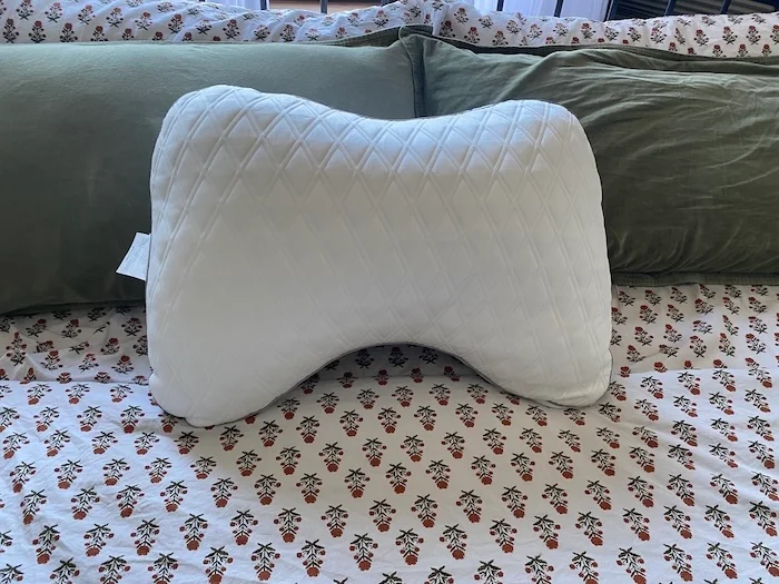 Bear Contour Pillow