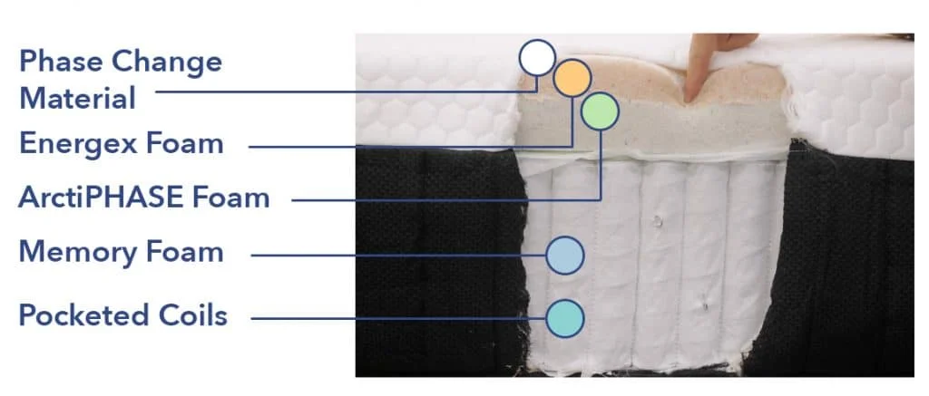 SpineAlign Hybrid Construction