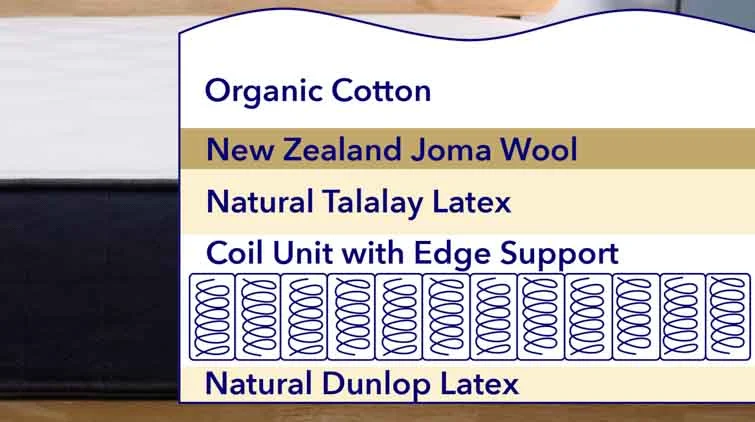 Organica Construction