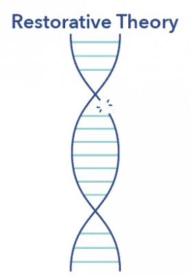 SO SleepEdu WhyWeSleep DNA3