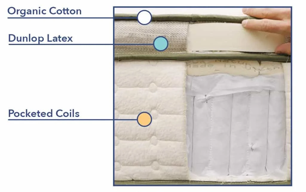 SO MattressConstruction Avocado