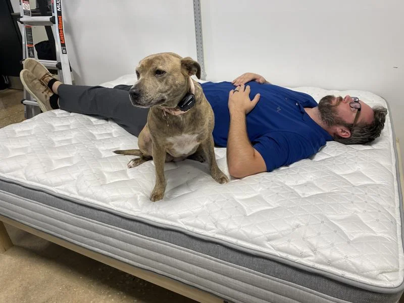 Canine associate poses for a photo on the Helix Plus Mattress