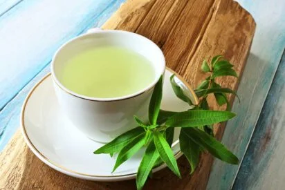 Can Drinking This Kind of Tea Before You Go to Sleep Help You Lose Weight?