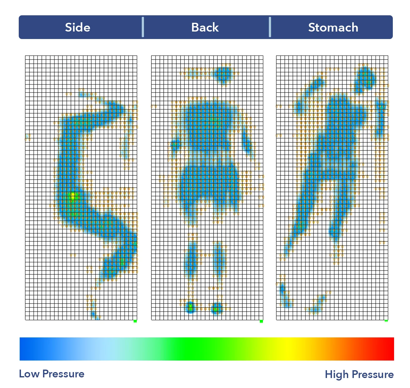 Amerisleep Organica Pressure Map