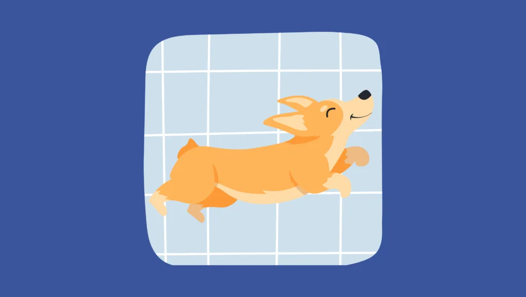 Dog Sleeping Positions 18