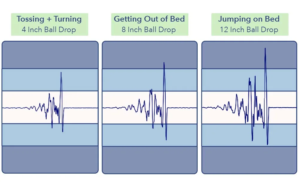 MotionTransfer PurpleNewDay