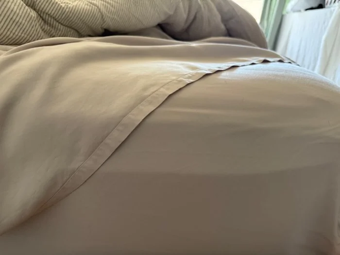 LUXOME Luxury Sheet Set