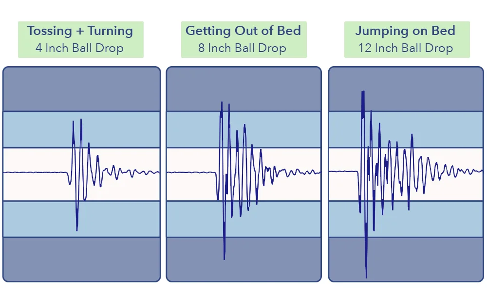 Amerisleep Organica Motion Transfer Graphic