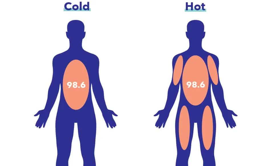 SO SleepEdu SleepandtheBody BodyTemp