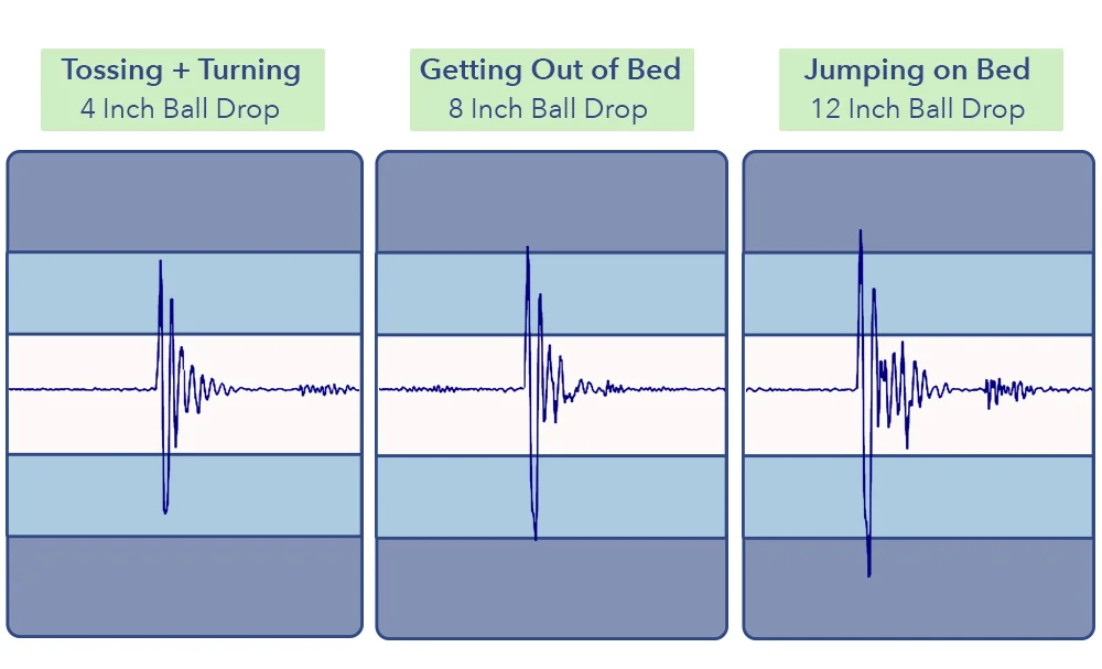 Novosbed Motion Transfer