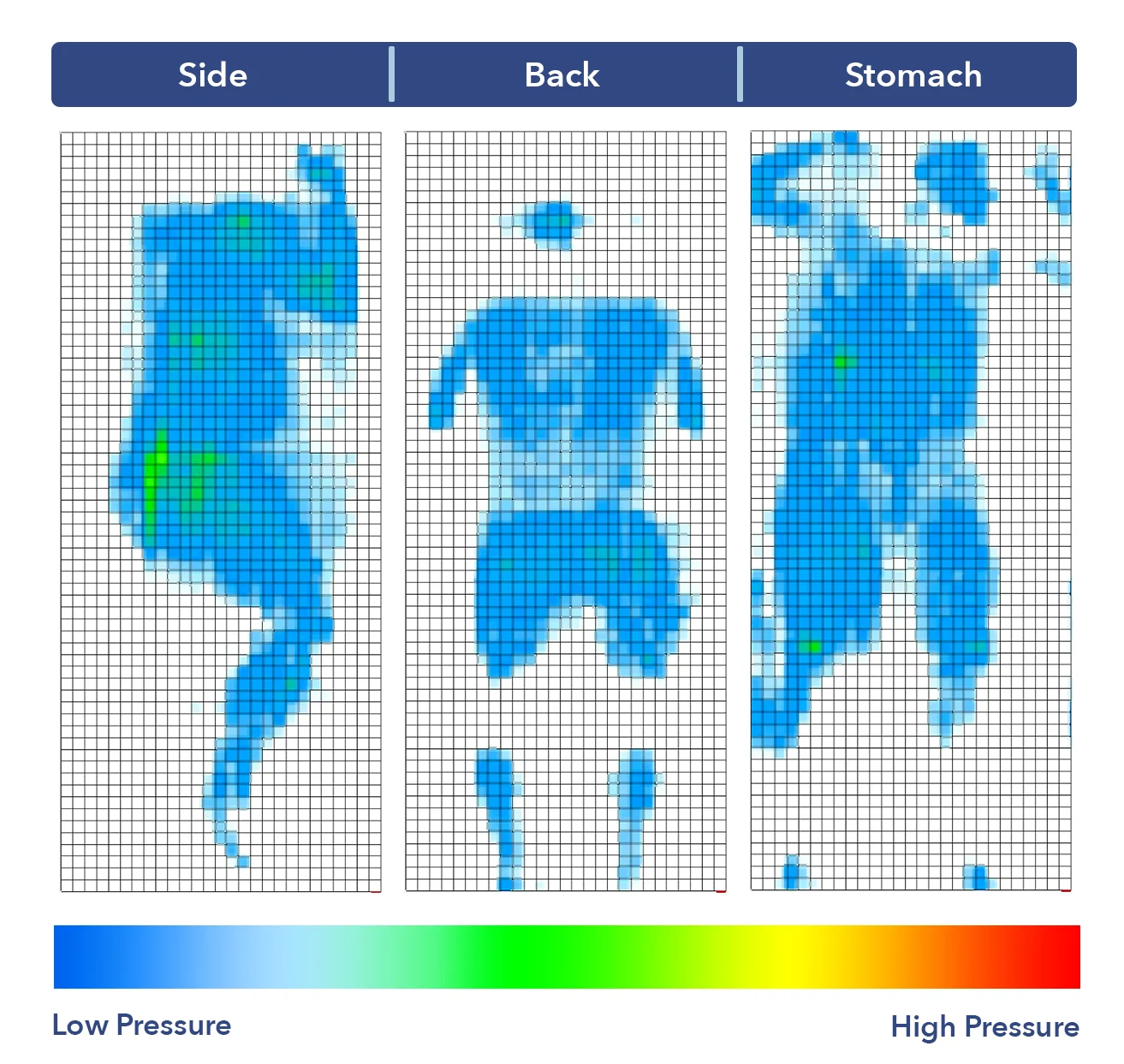 Puffy Royal Hybrid Pressure Map
