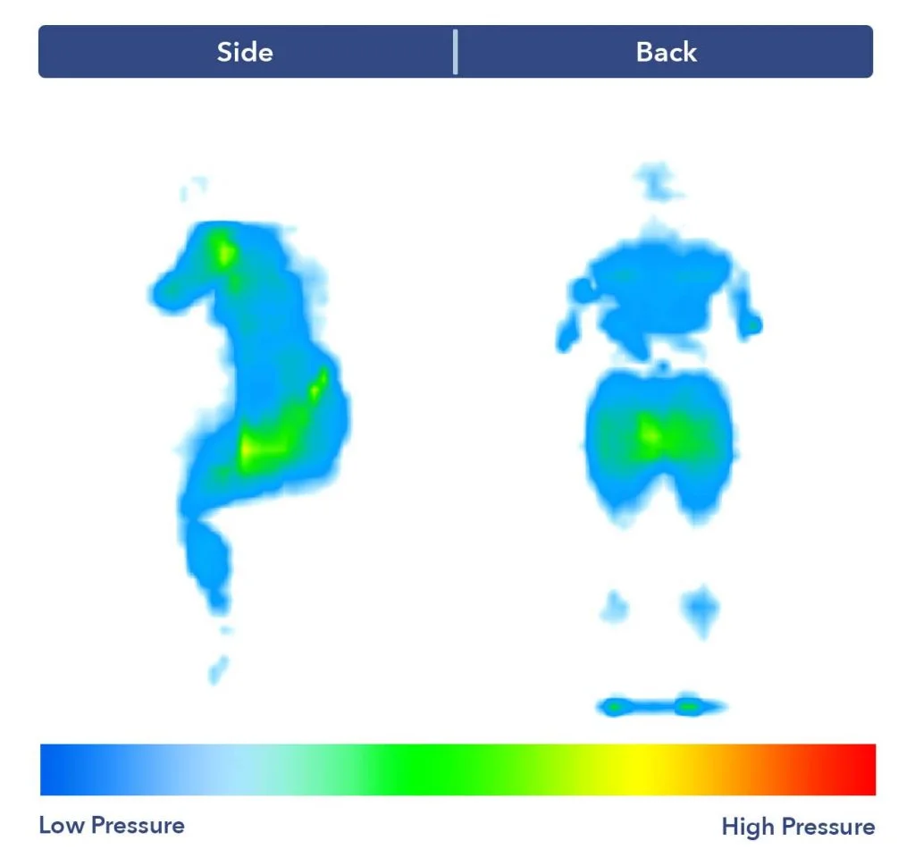 The TEMPUR-Cloud bed's pressure map test results.