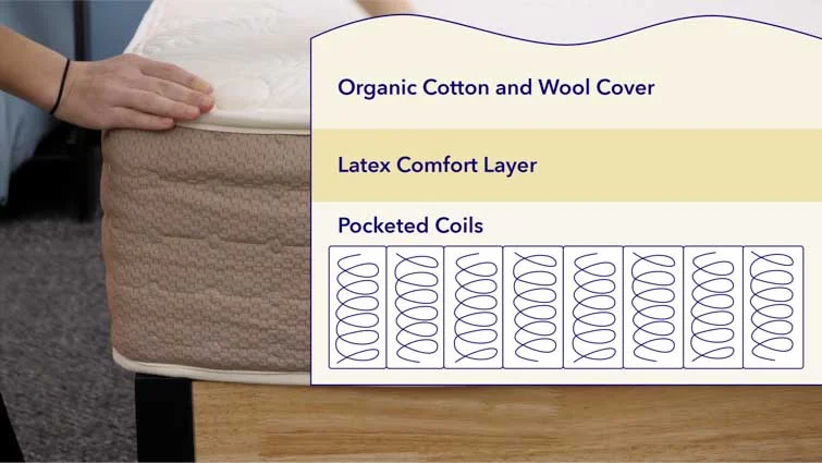 Eco Terra Construction