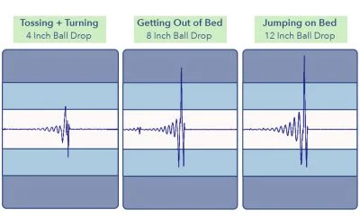 SertaArcticMotionTransfer