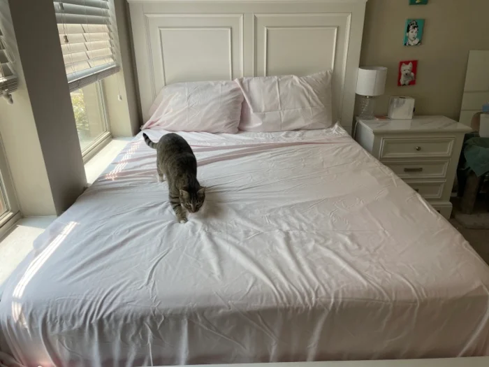 Cuddledown 400 Thread Count Solid Sateen Sheet Set