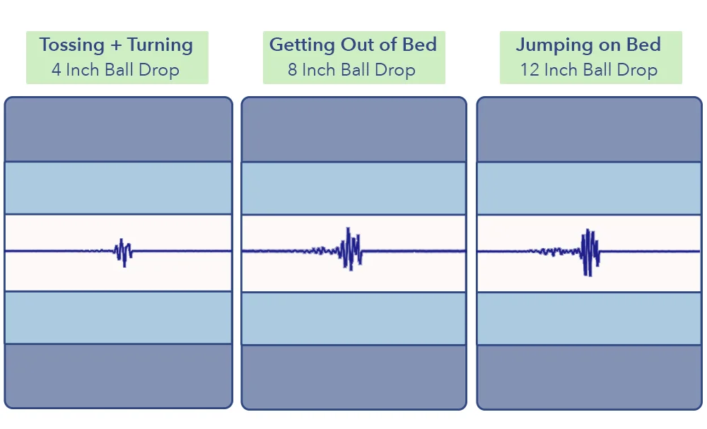 PolysleepMotionTrasfer